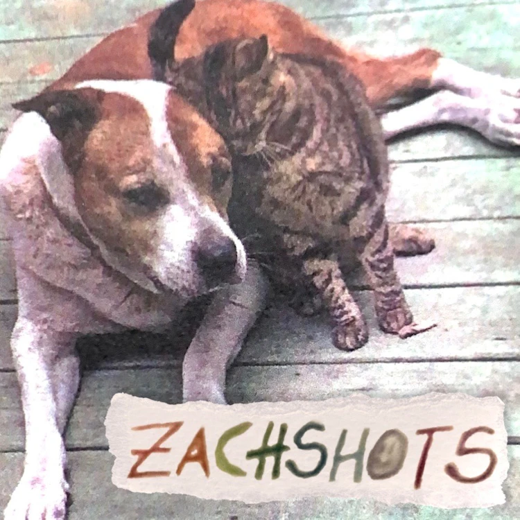 Zachshots - Zachshots