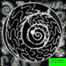 DJ Seashell - Ammonites & Belemnites
